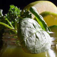 Load image into Gallery viewer, Raw Cucumber, Spinach, Green Apple, Lime & Parsley - 250ml
