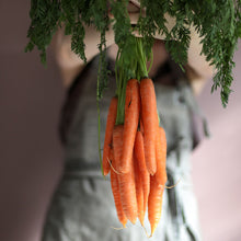 Load image into Gallery viewer, Raw Turmeric, Ginger, Carrot, Lemon & Black Pepper Health Shot – 60ml